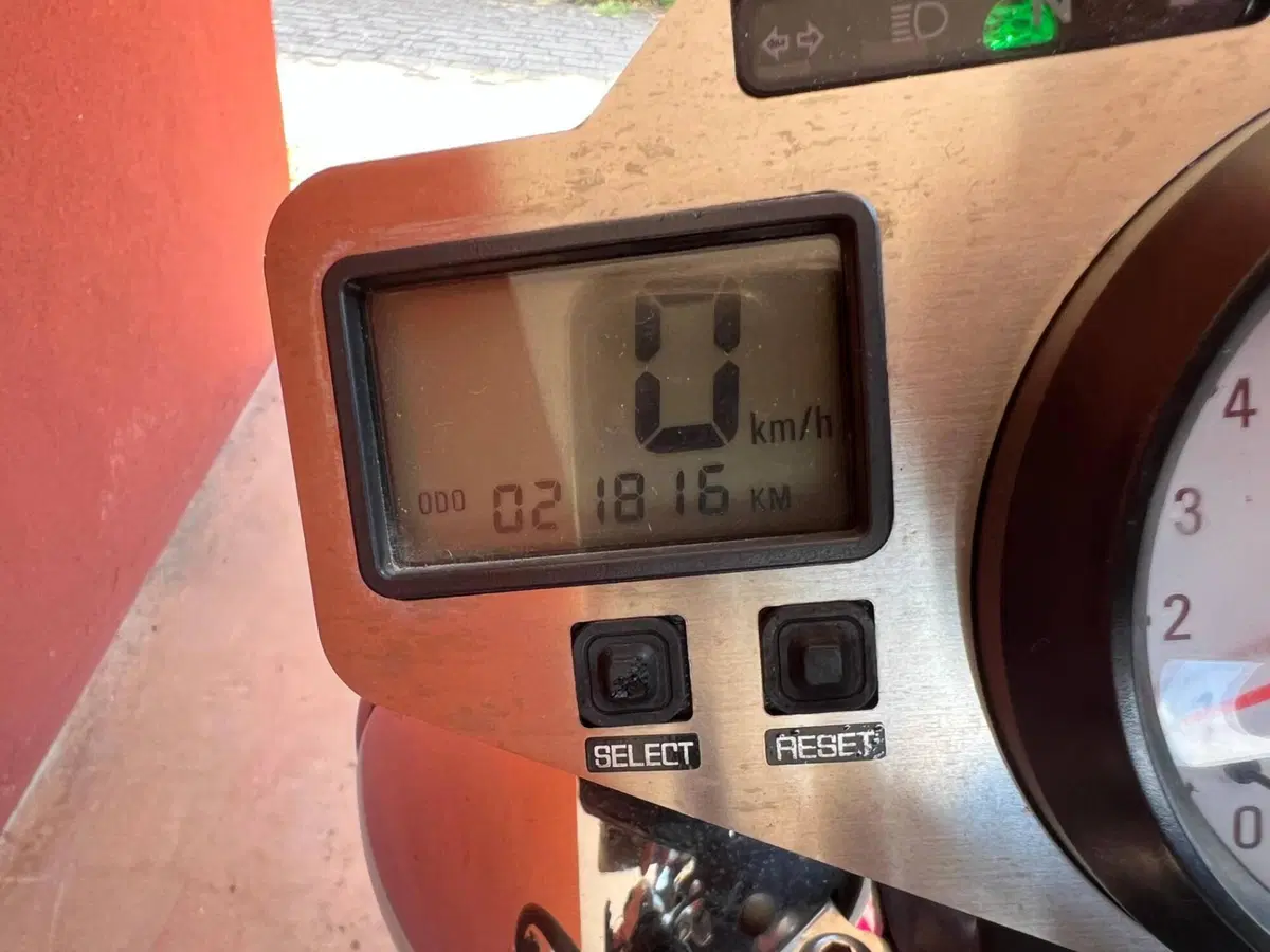 Triumph Speed Triple 955 (2002 - 04) (5)