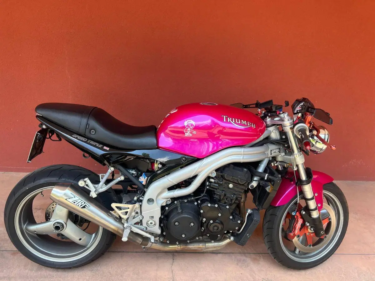 Triumph Speed Triple 955 (2002 - 04)