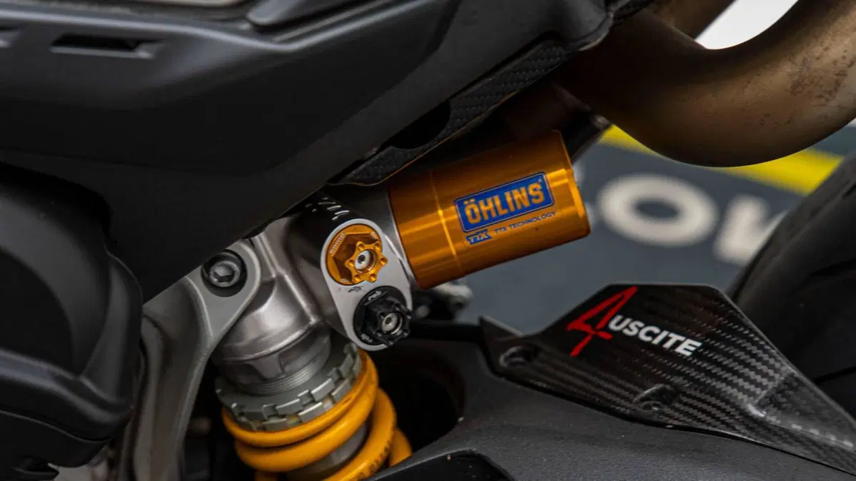 Ducati Panigale V4 R 1000 (2019 - 20) (15)