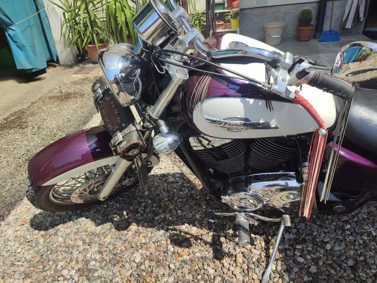 Honda VT 1100 C2 Shadow (1995 - 01)