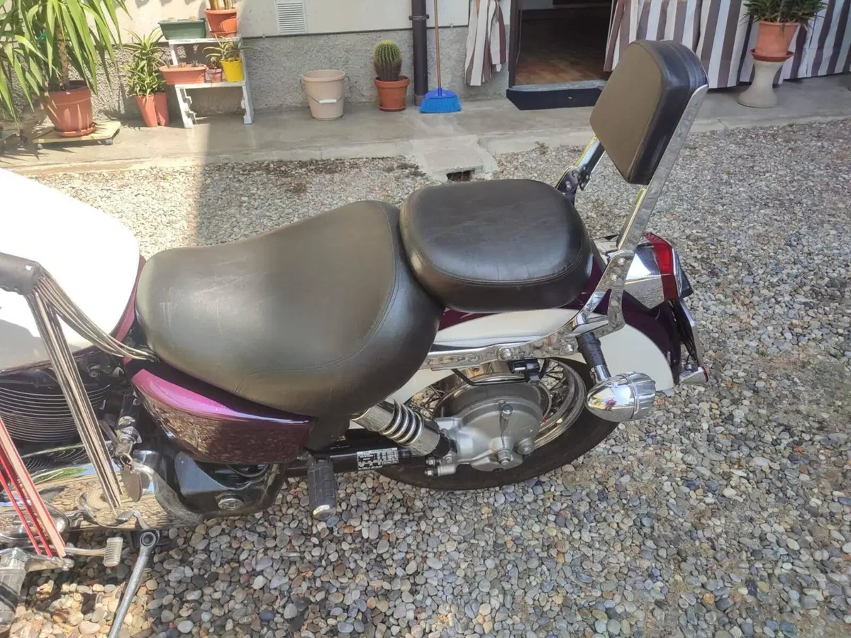 Honda VT 1100 C2 Shadow (1995 - 01) (4)