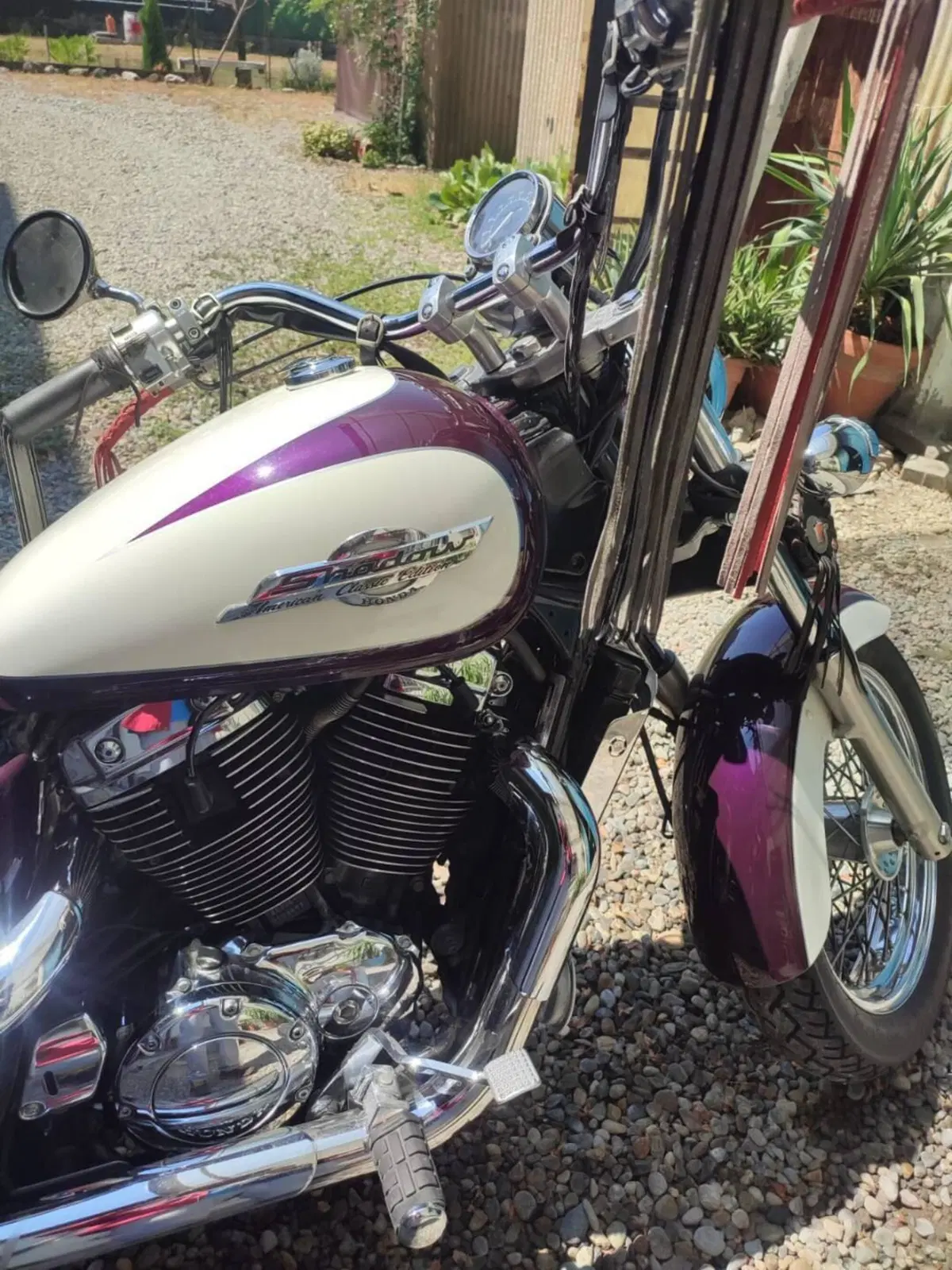 Honda VT 1100 C2 Shadow (1995 - 01) (9)
