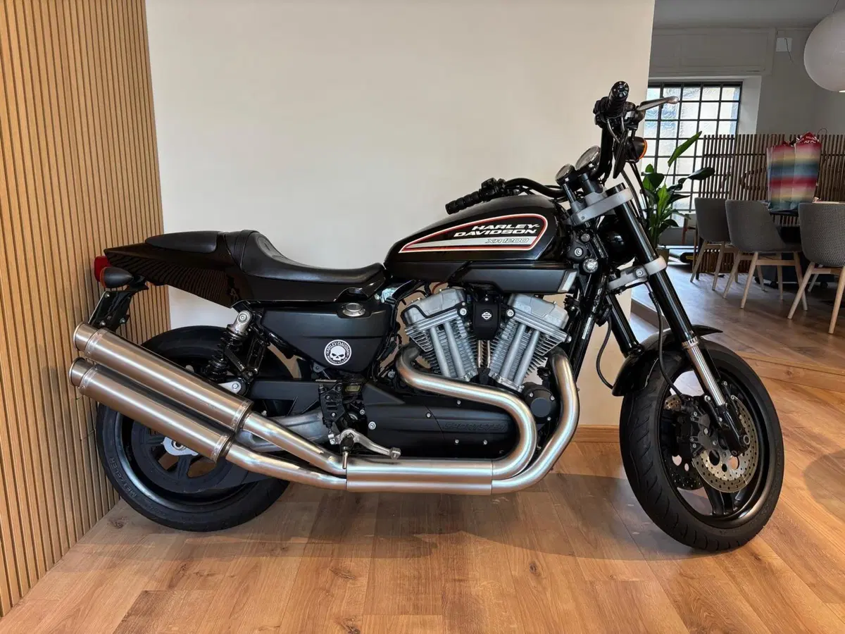 Harley-Davidson 1200 XR (2009 - 12) (3)