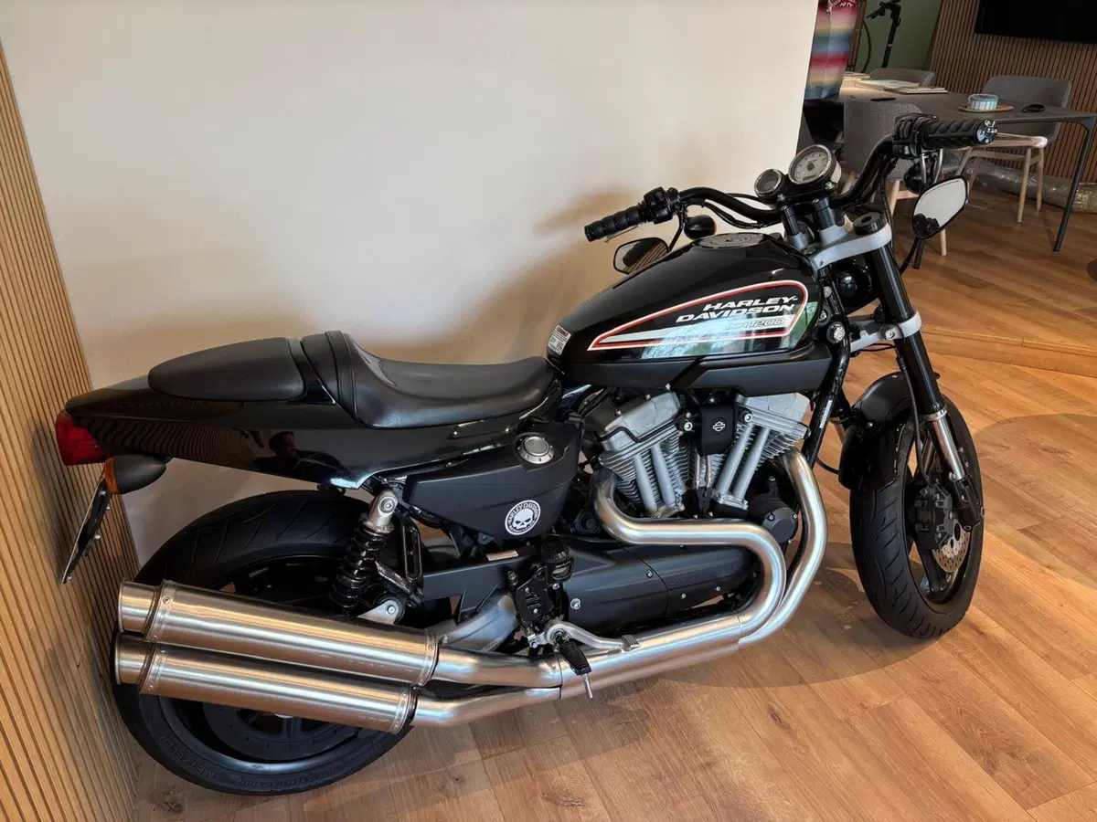 Harley-Davidson 1200 XR (2009 - 12) (4)