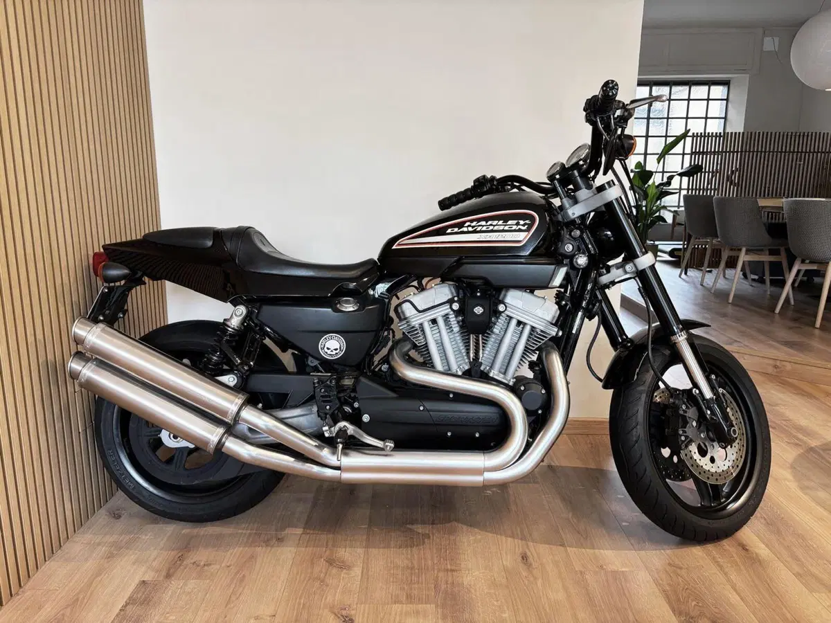 Harley-Davidson 1200 XR (2009 - 12) (6)