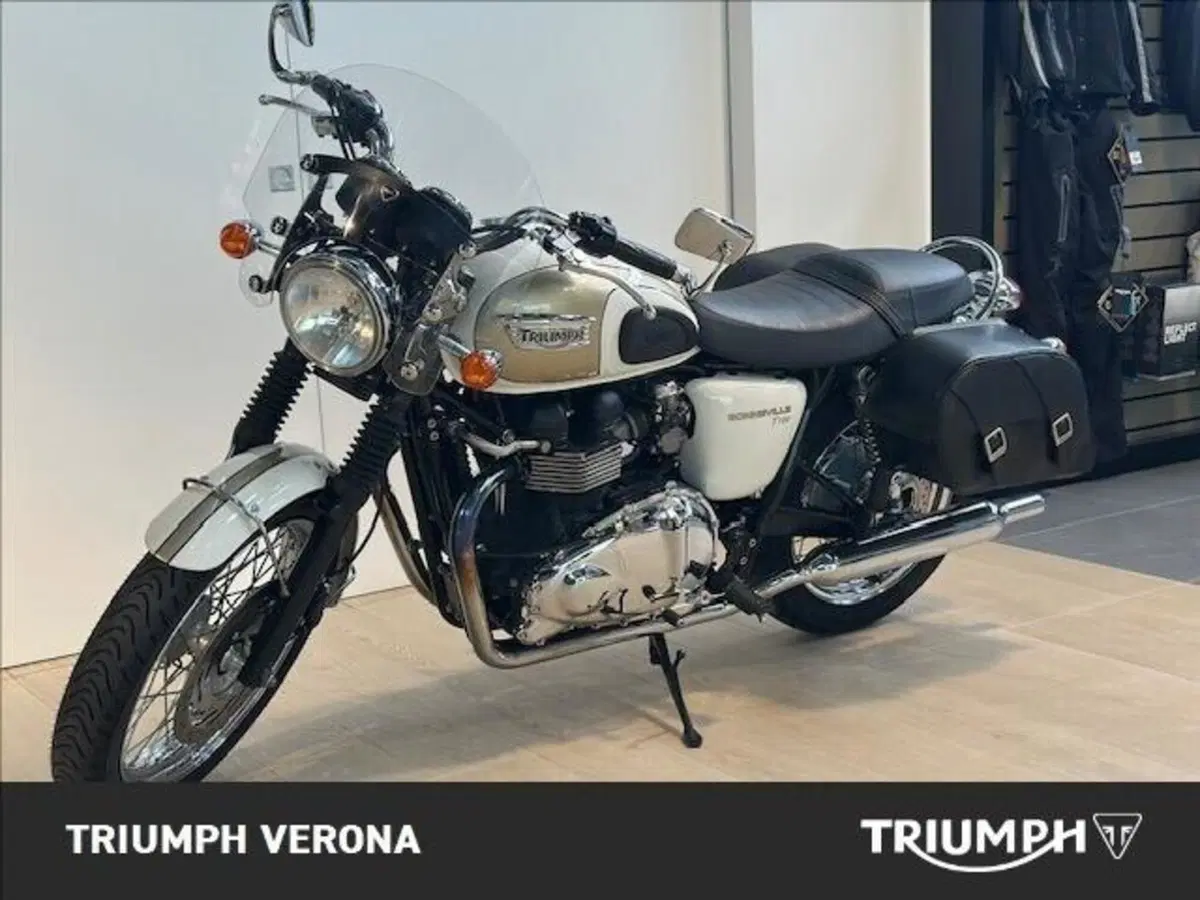 Triumph Bonneville T100 (2008 - 16) (13)