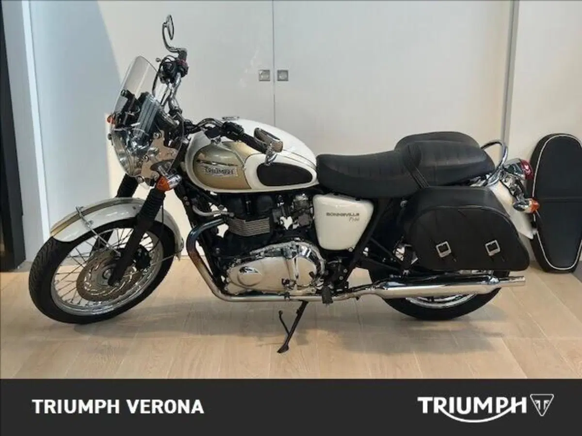Triumph Bonneville T100 (2008 - 16) (10)