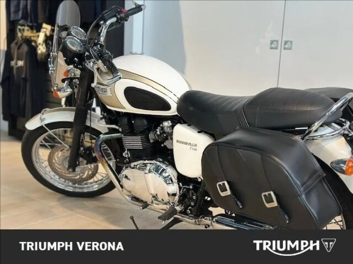 Triumph Bonneville T100 (2008 - 16) (11)