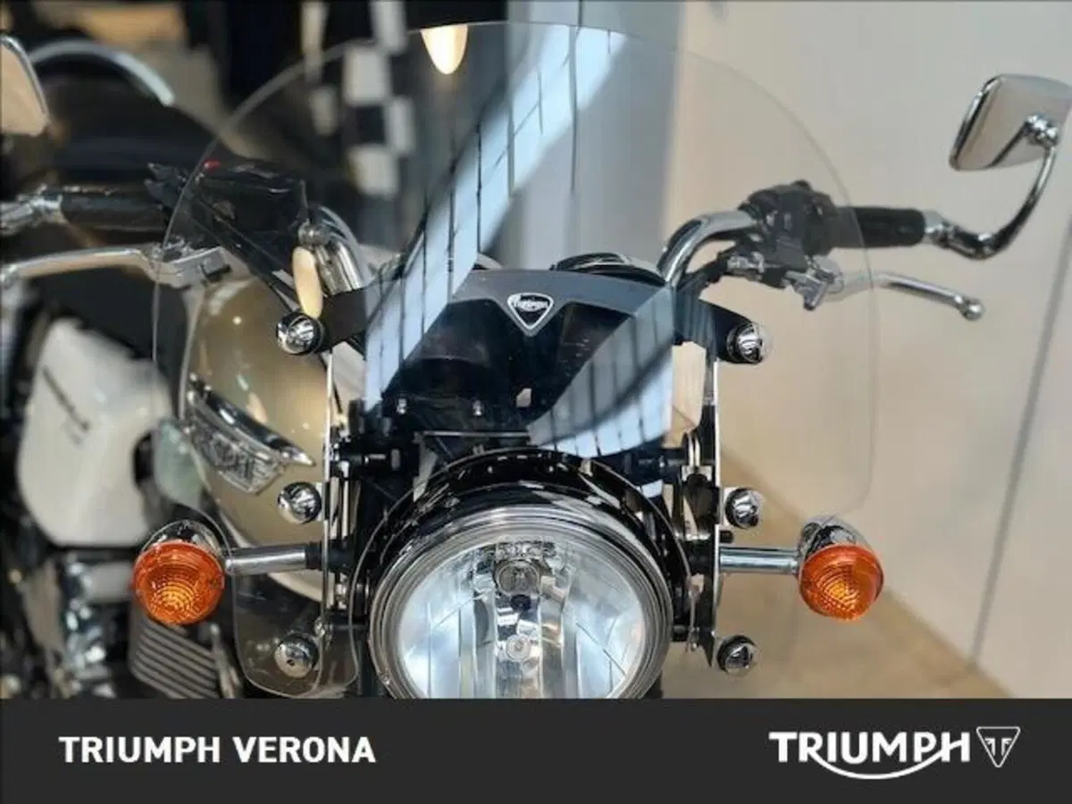Triumph Bonneville T100 (2008 - 16) (3)