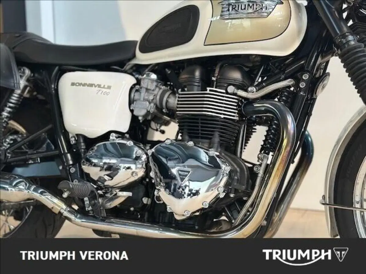 Triumph Bonneville T100 (2008 - 16) (9)