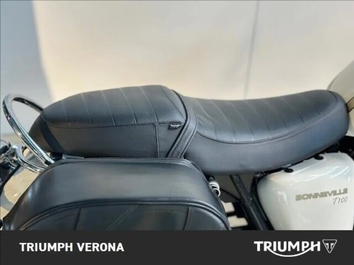 Triumph Bonneville T100 (2008 - 16) (6)