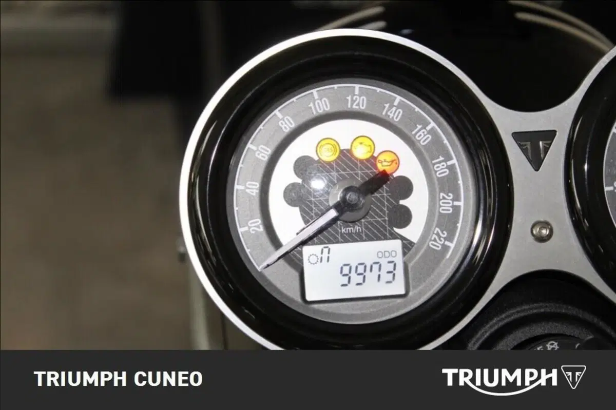 Triumph Speed Twin 1200 (2019 - 20) (7)