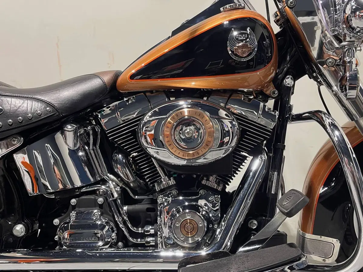 Harley-Davidson 1584 Heritage Classic (2008 - 10) - FLSTC (3)