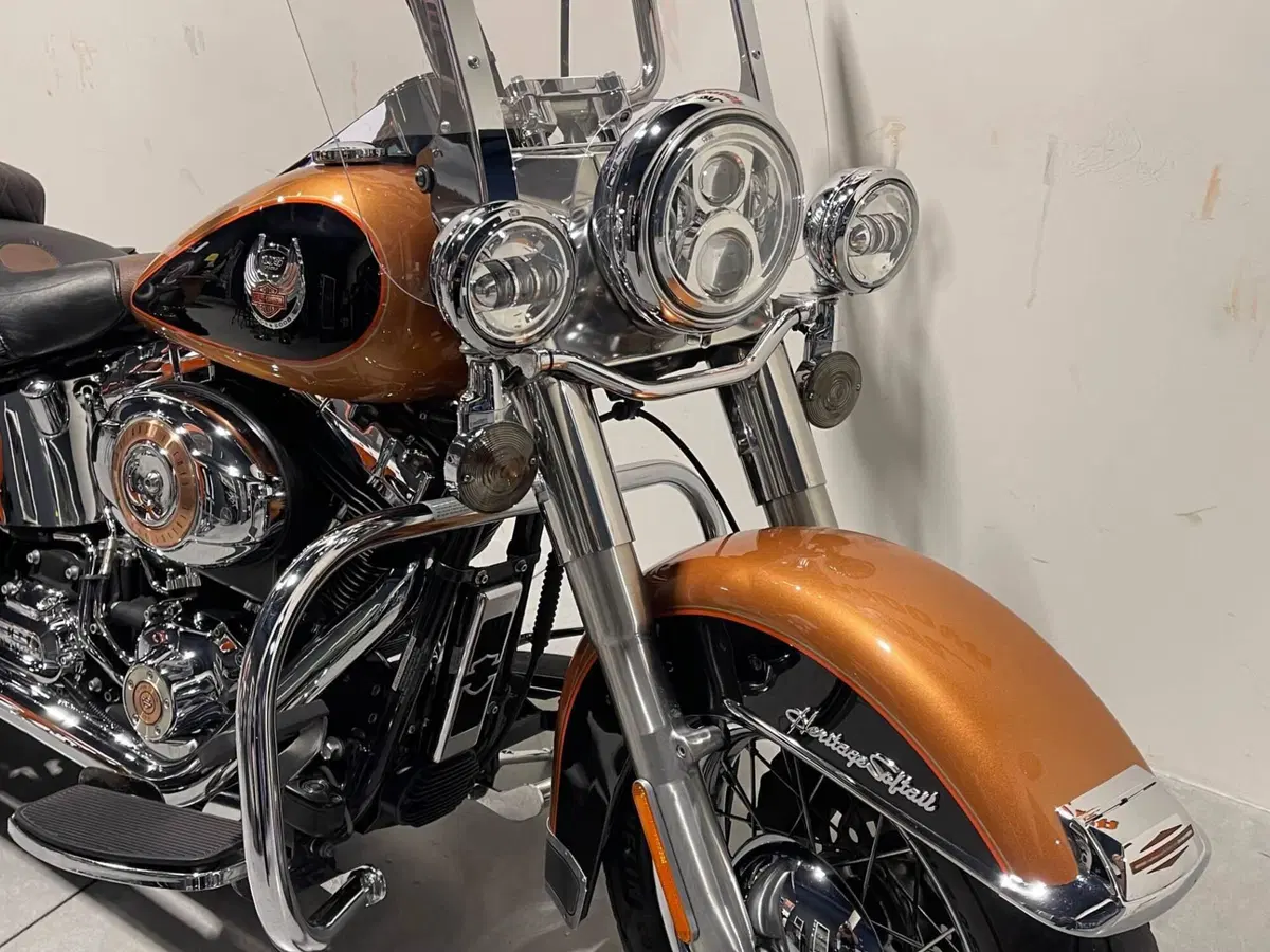 Harley-Davidson 1584 Heritage Classic (2008 - 10) - FLSTC (8)