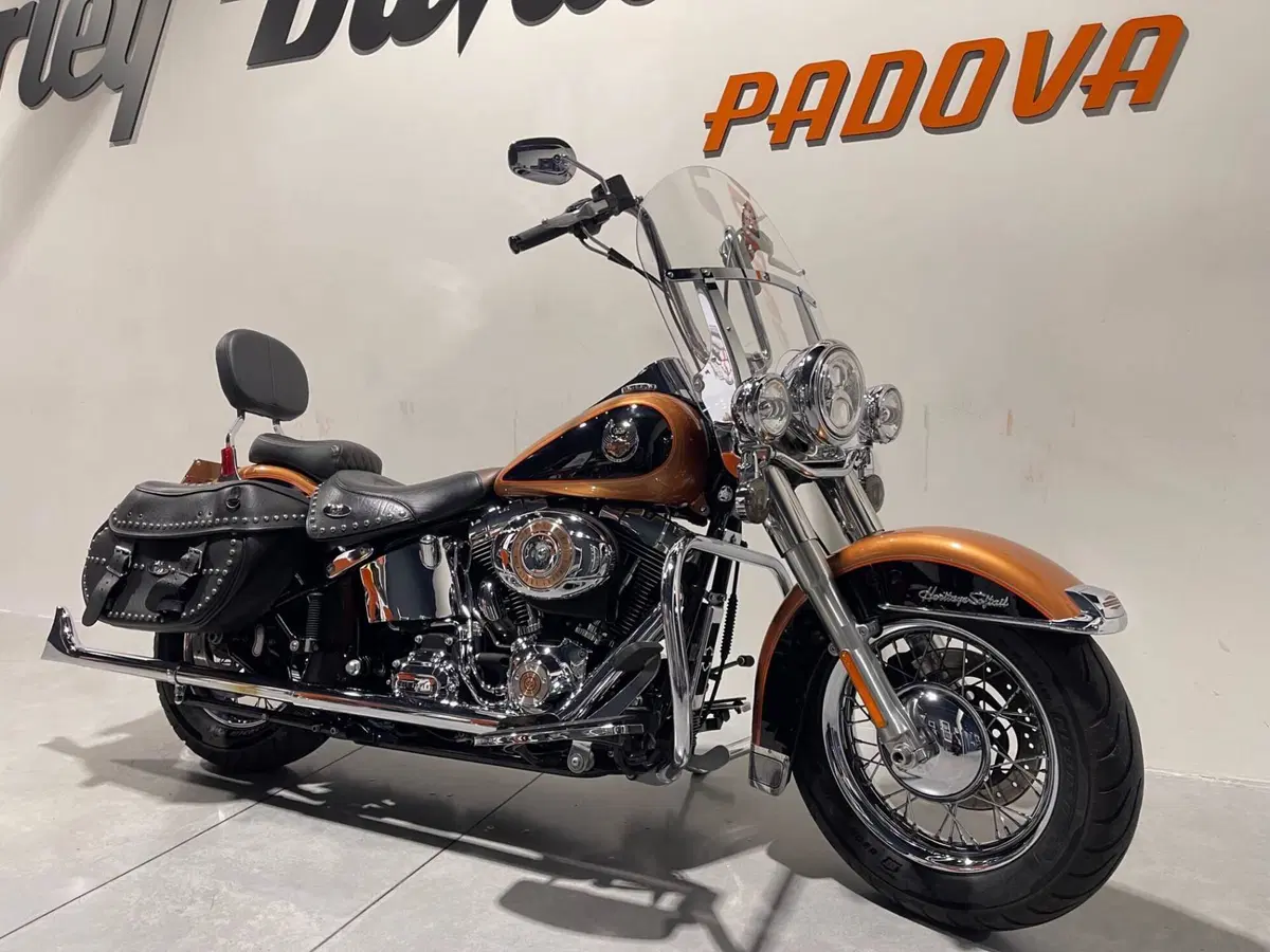 Harley-Davidson 1584 Heritage Classic (2008 - 10) - FLSTC (9)