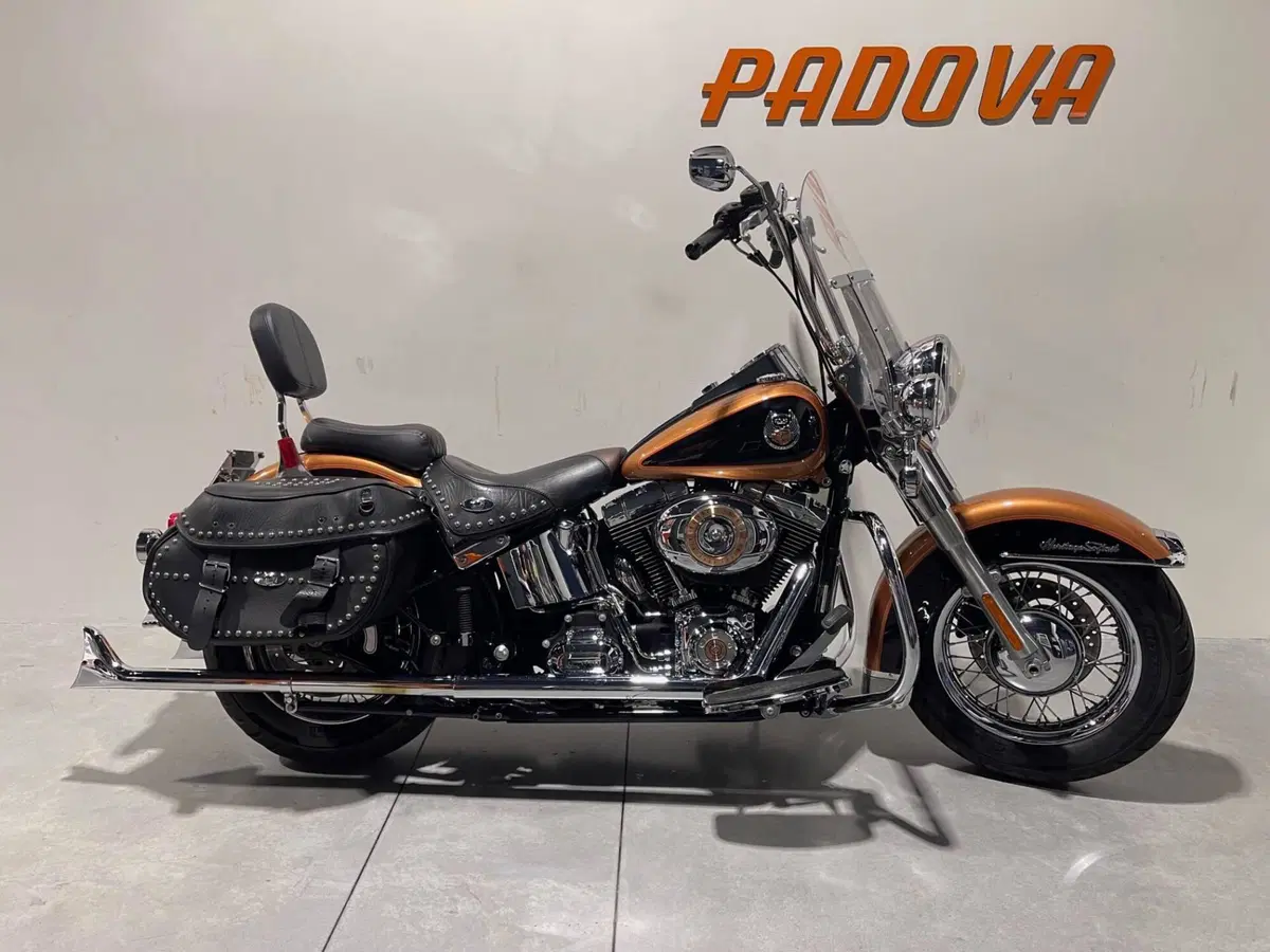 Harley-Davidson 1584 Heritage Classic (2008 - 10) - FLSTC (10)