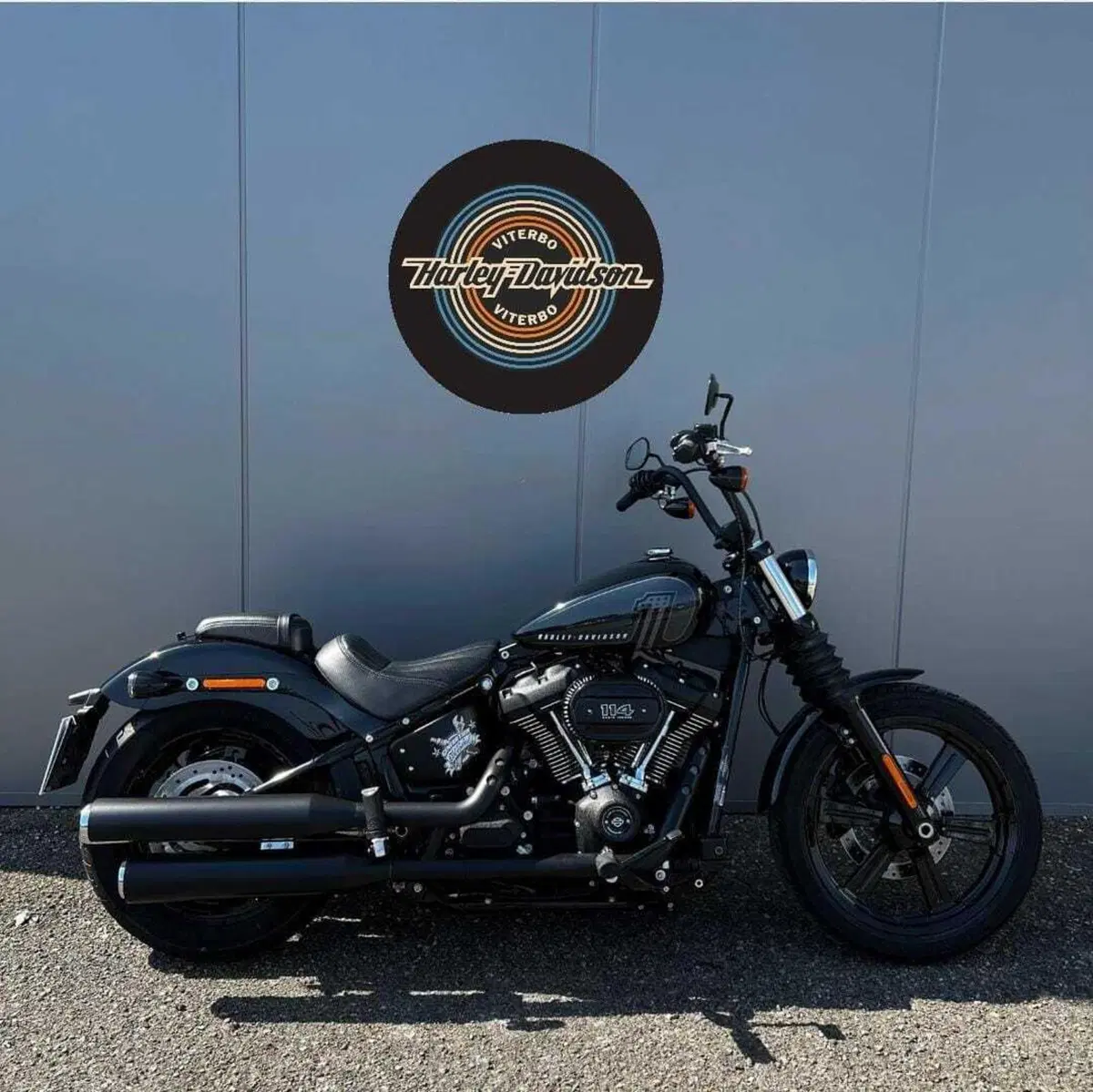 Harley-Davidson Street Bob 114 (2021 - 24)