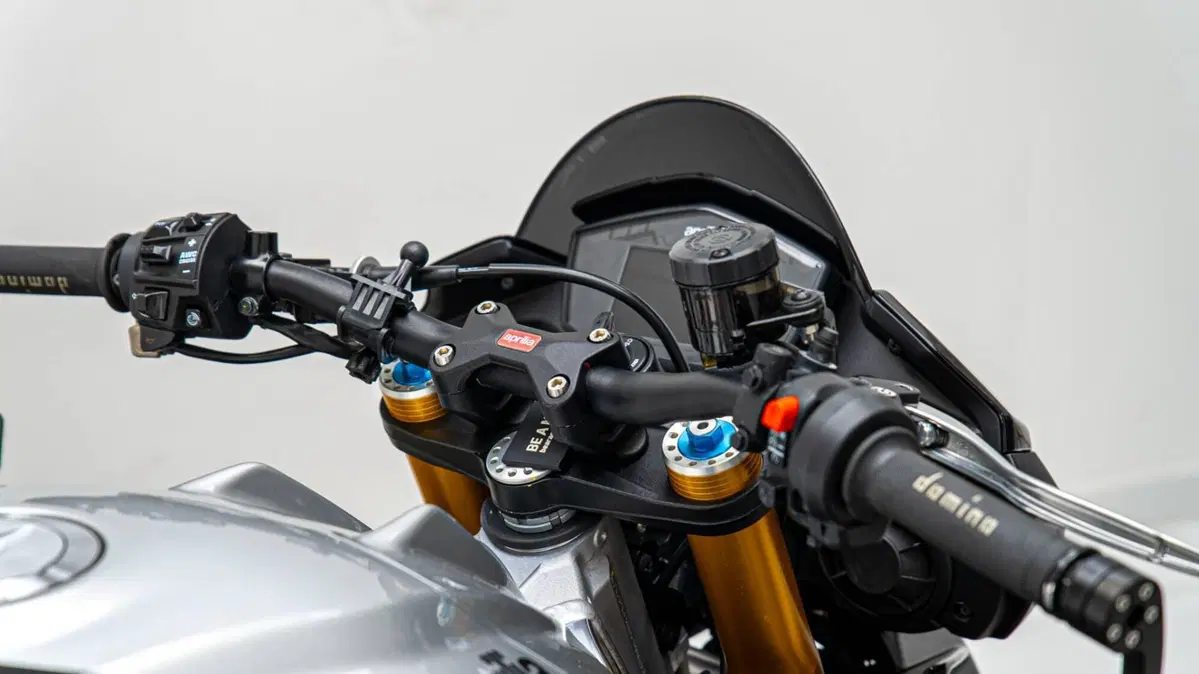 Aprilia Tuono V4 Factory (2017 - 18) (15)