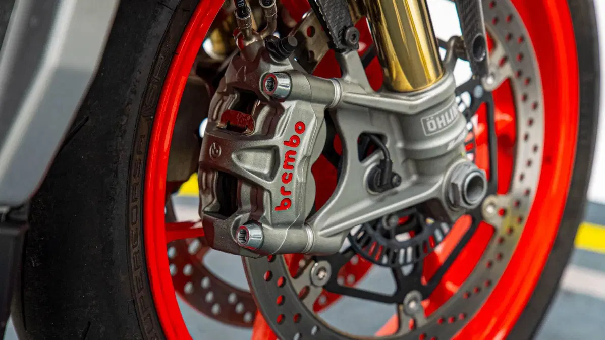 Aprilia Tuono V4 Factory (2017 - 18) (16)