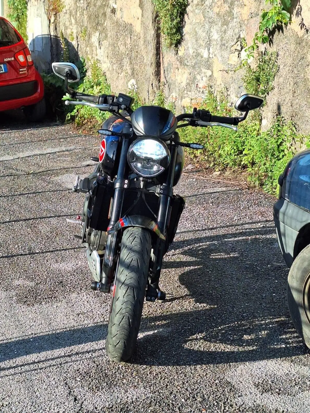 Triumph Trident 660 Triple Tribute Edition (2025 - 26) (7)