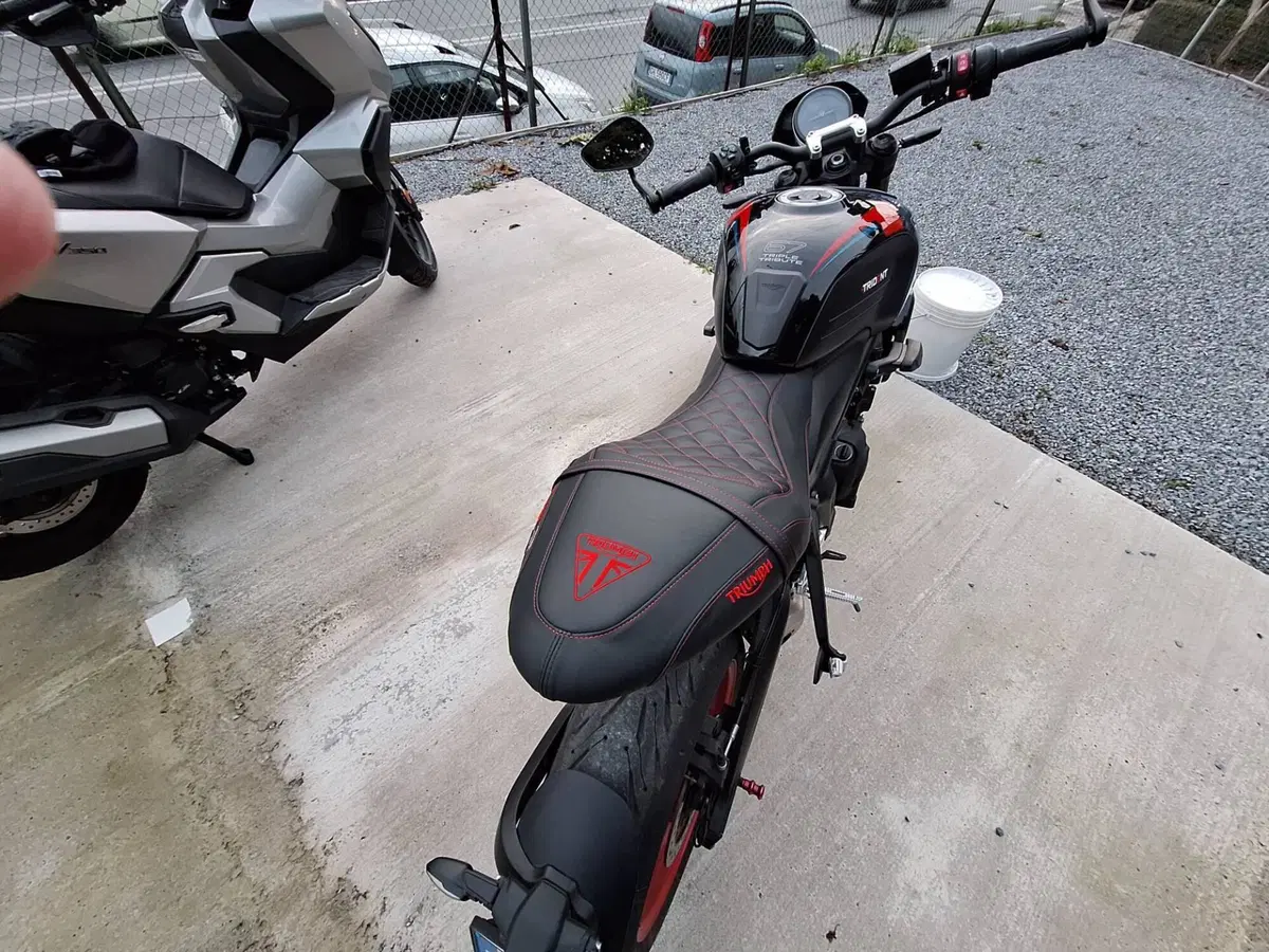 Triumph Trident 660 Triple Tribute Edition (2025 - 26) (8)