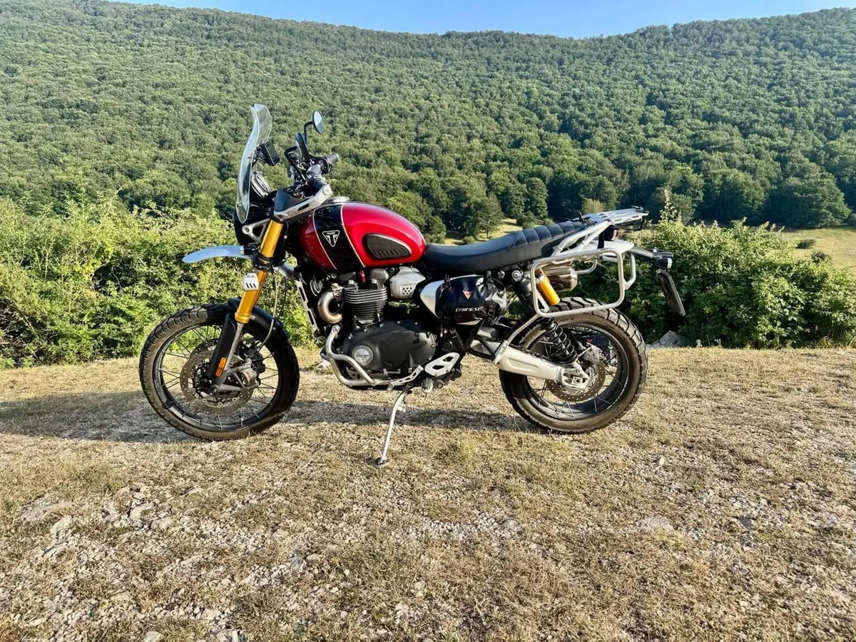 Triumph Scrambler 1200 XE Gold Line Edition (2021 - 22) (3)