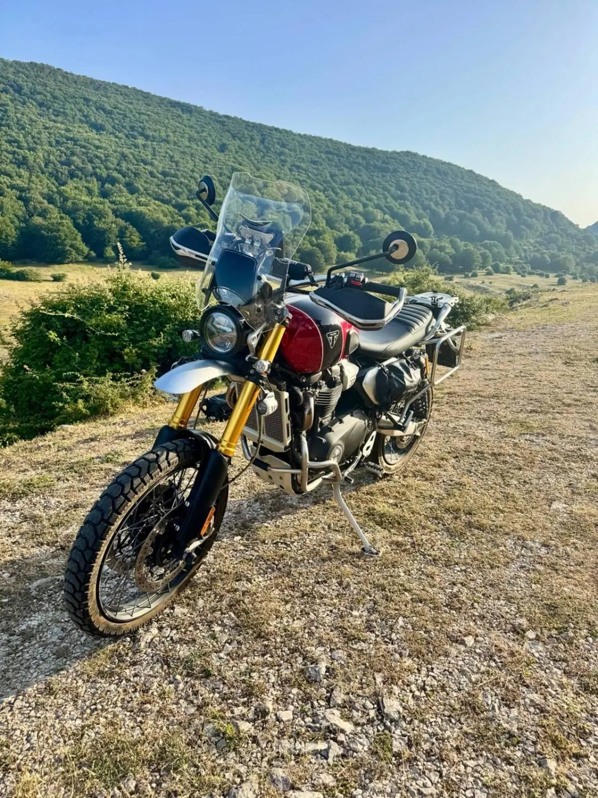Triumph Scrambler 1200 XE Gold Line Edition (2021 - 22) (12)