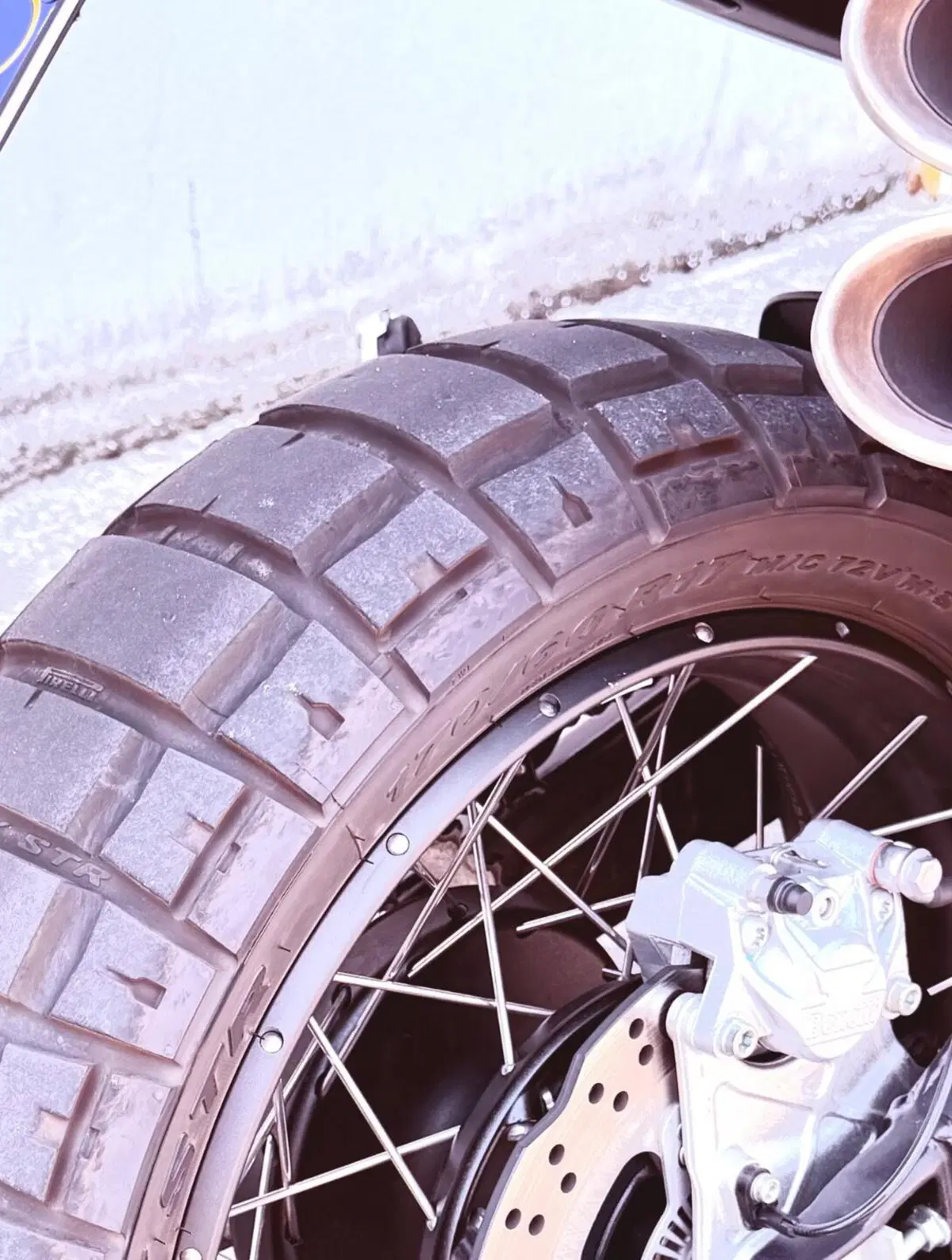 Benelli Leoncino 800 Trail (2022 - 26) (5)