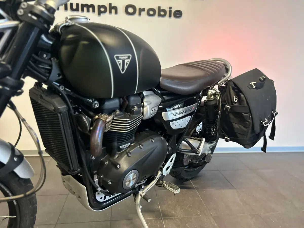 Triumph Scrambler 1200 XC (2021 - 23) (8)