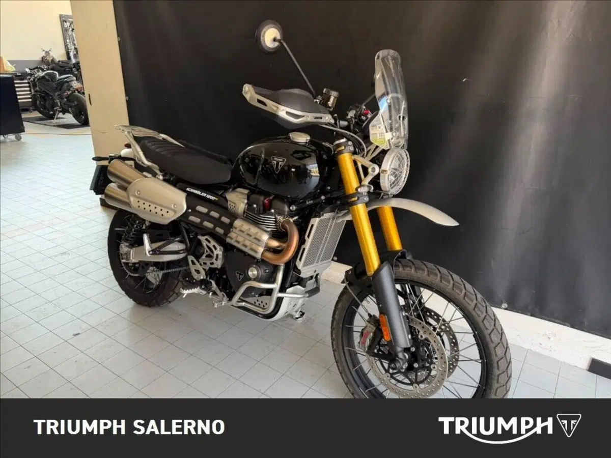 Triumph Scrambler 1200 XE (2024 - 25) (2)