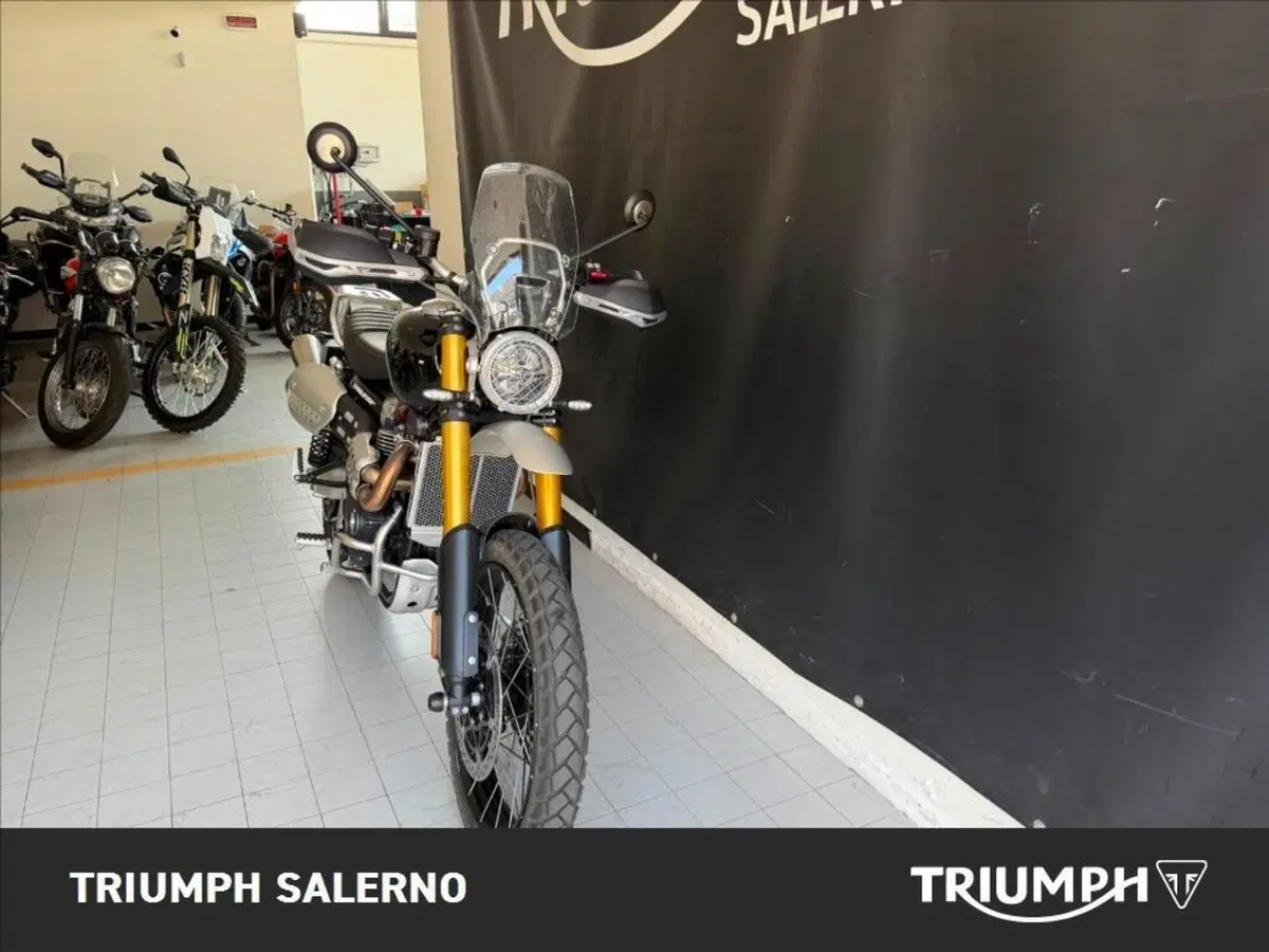 Triumph Scrambler 1200 XE (2024 - 25) (4)