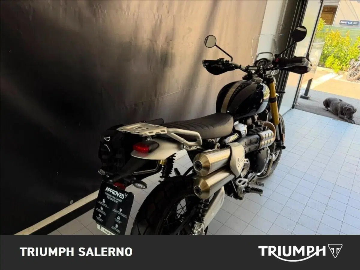 Triumph Scrambler 1200 XE (2024 - 25) (5)