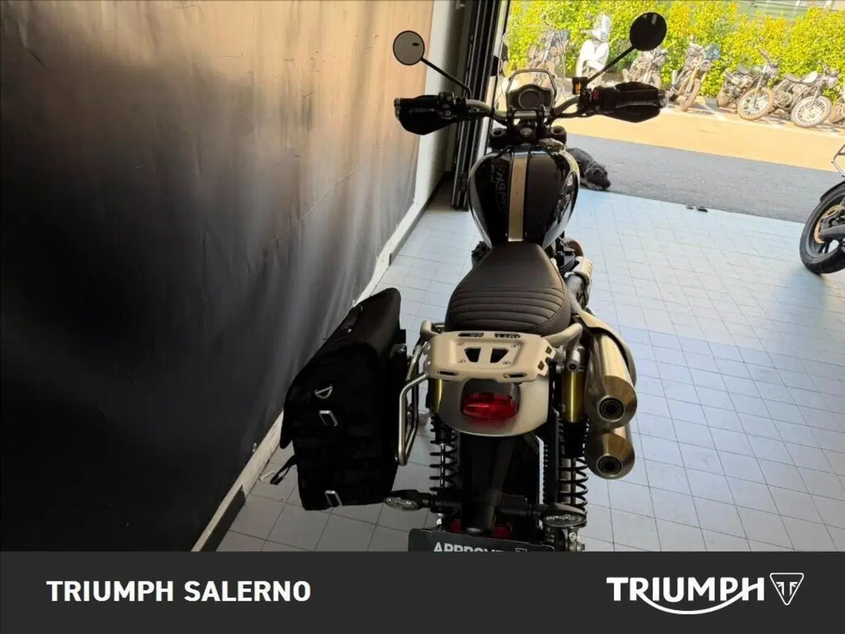 Triumph Scrambler 1200 XE (2024 - 25) (6)