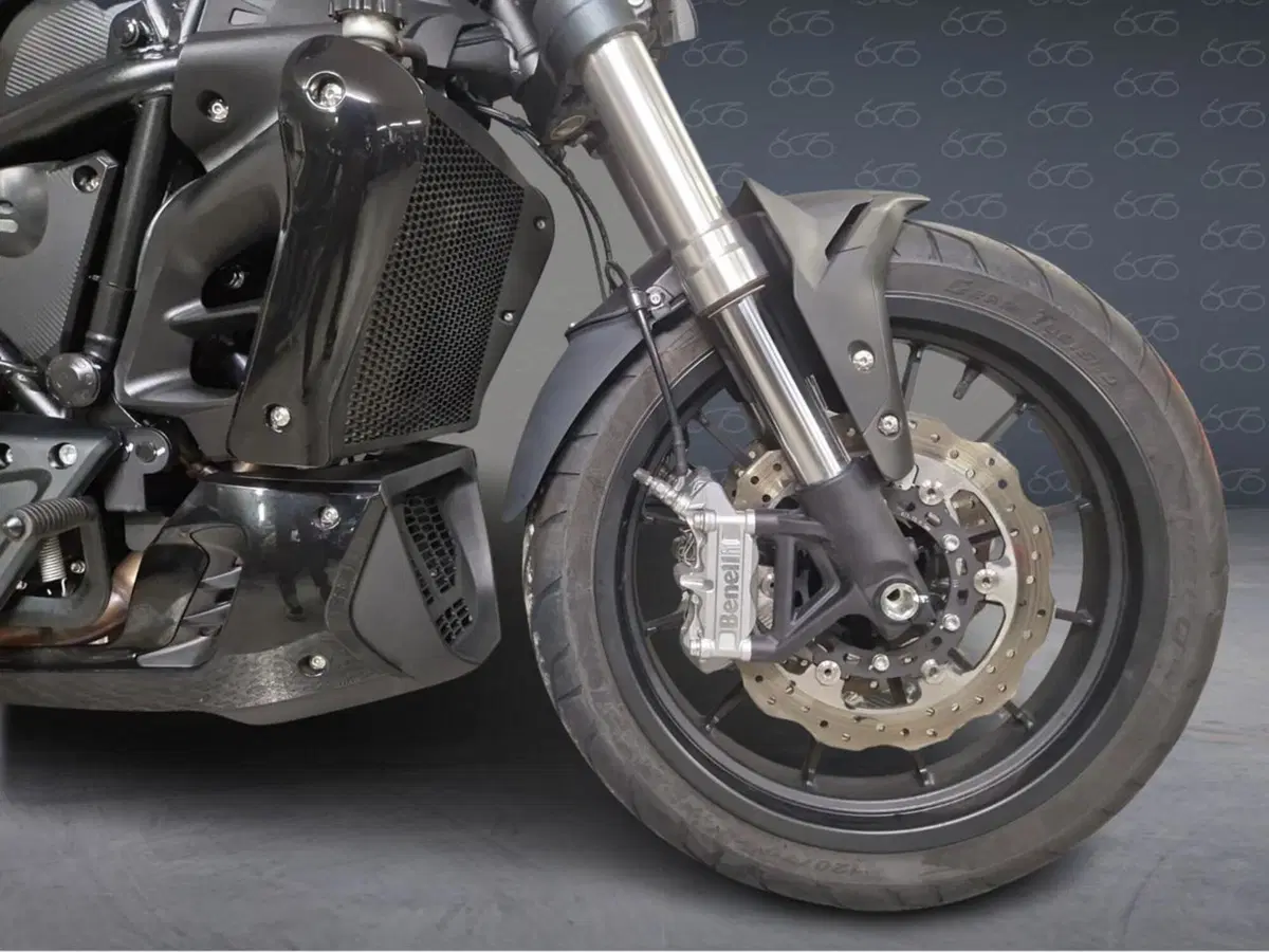 Benelli 502 C (2021 - 25) (5)