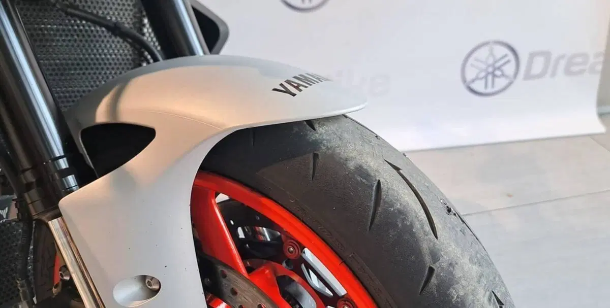 Yamaha MT-10 (2017 - 20) (2)