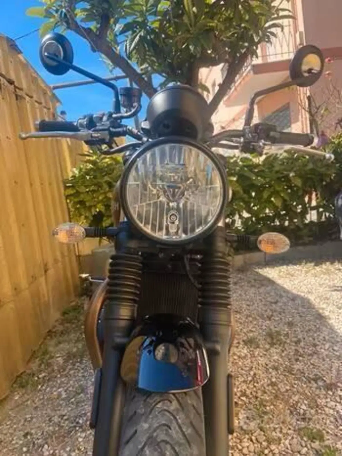 Triumph Street Twin 900 (2021 - 22) (5)