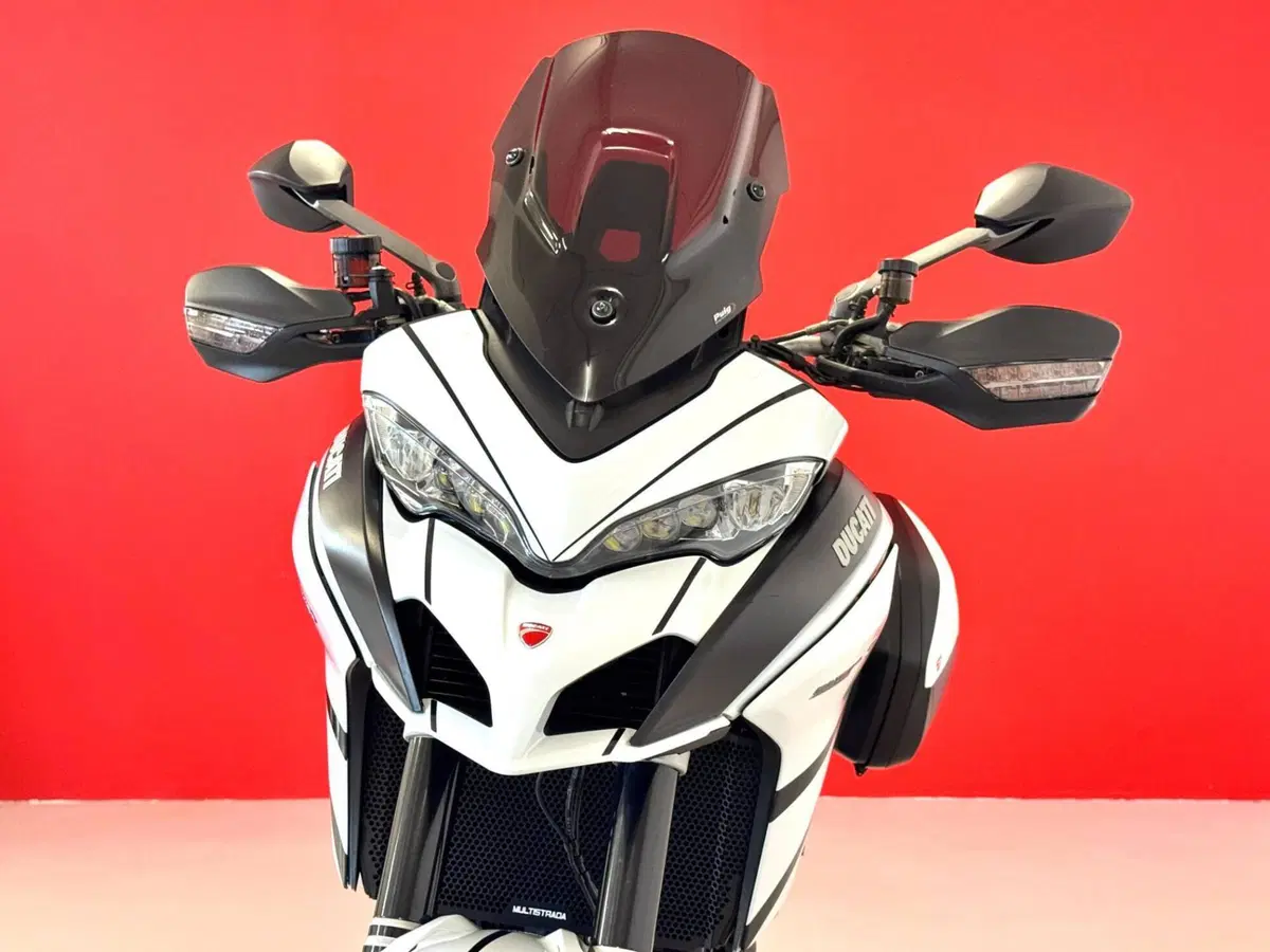 Ducati Multistrada 1260 (2018 - 20) (14)