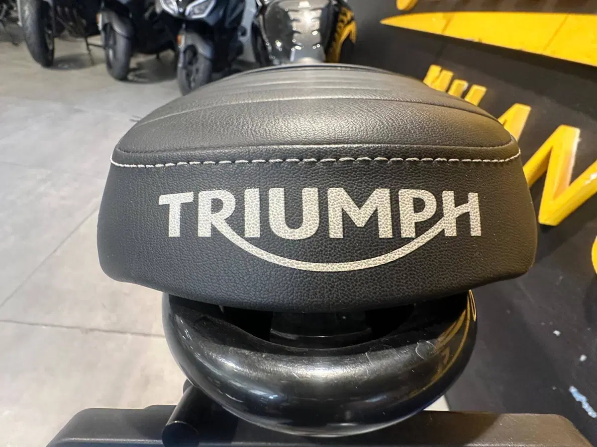 Triumph Speed Twin 1200 (2019 - 20) (6)