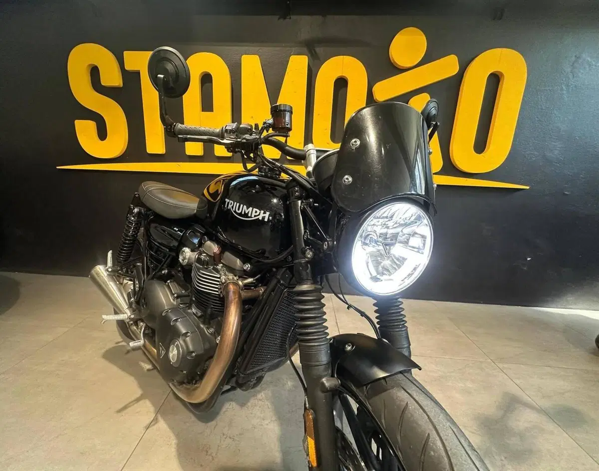 Triumph Speed Twin 1200 (2019 - 20) (7)