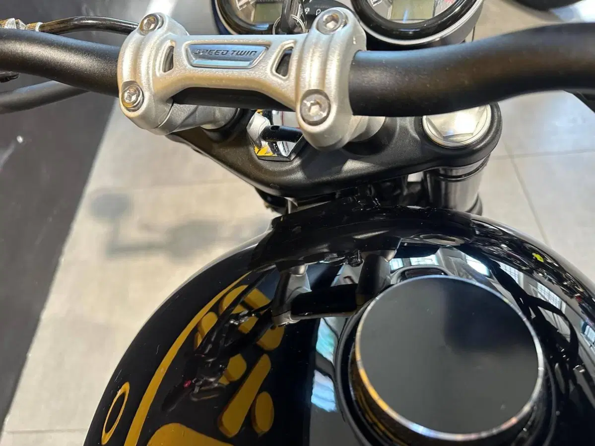 Triumph Speed Twin 1200 (2019 - 20) (8)