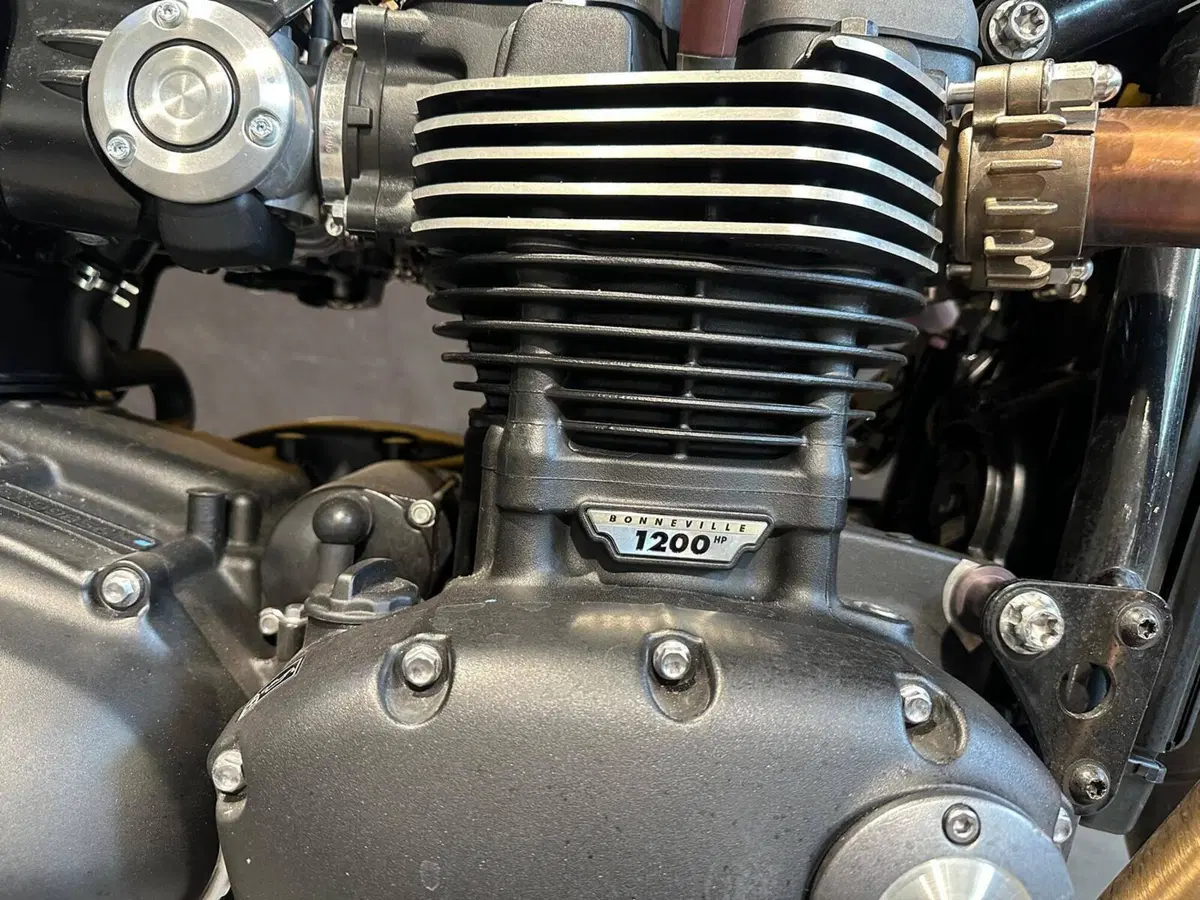 Triumph Speed Twin 1200 (2019 - 20) (10)