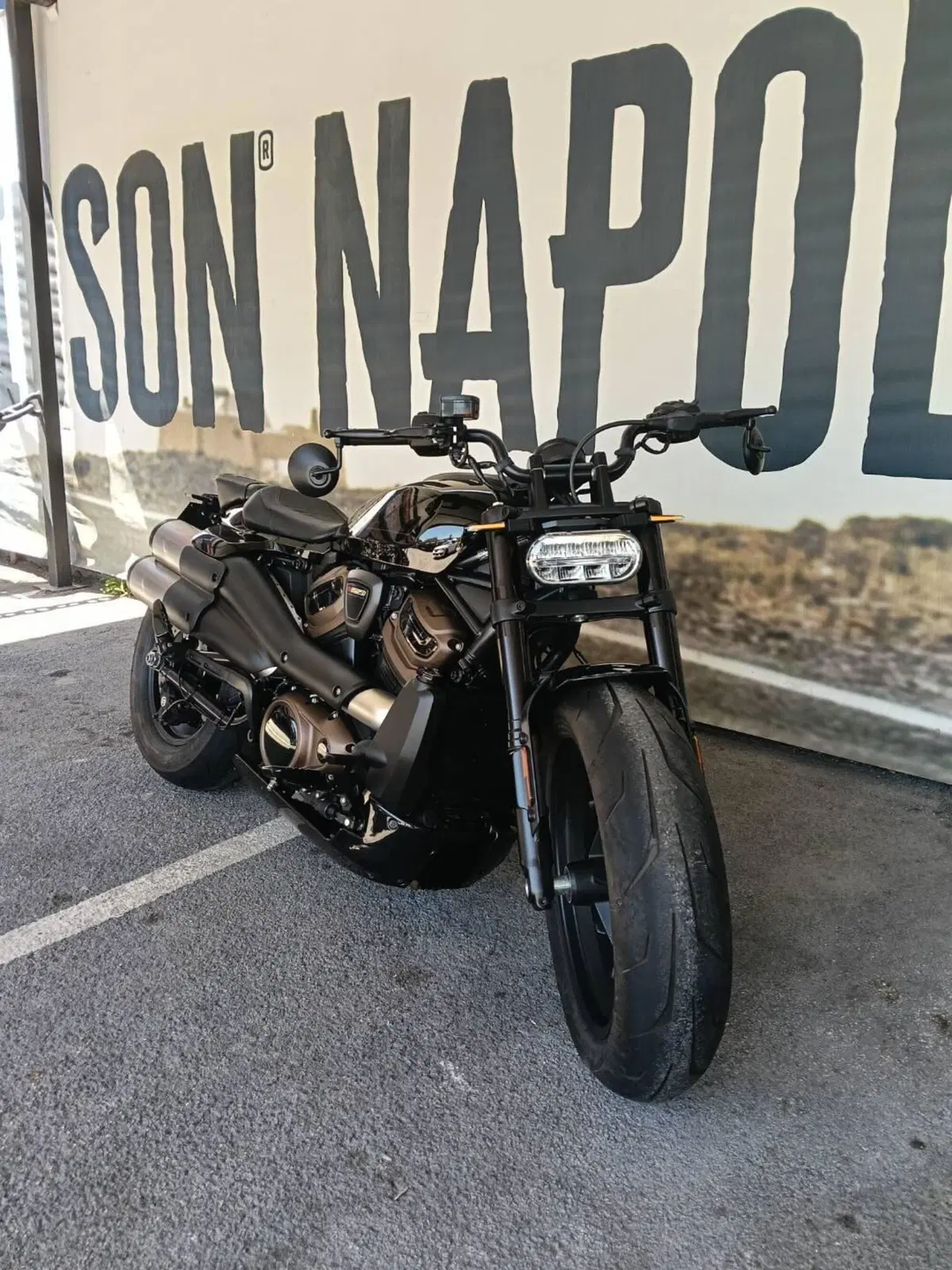 Harley-Davidson Sportster S (2022 - 24) (2)