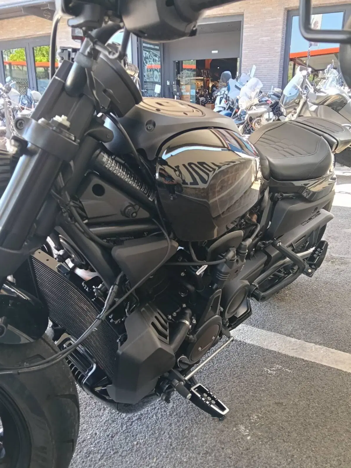 Harley-Davidson Sportster S (2022 - 24) (5)