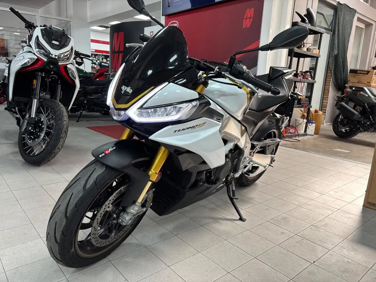 Aprilia Tuono V4 Factory (2025 - 26) (8)