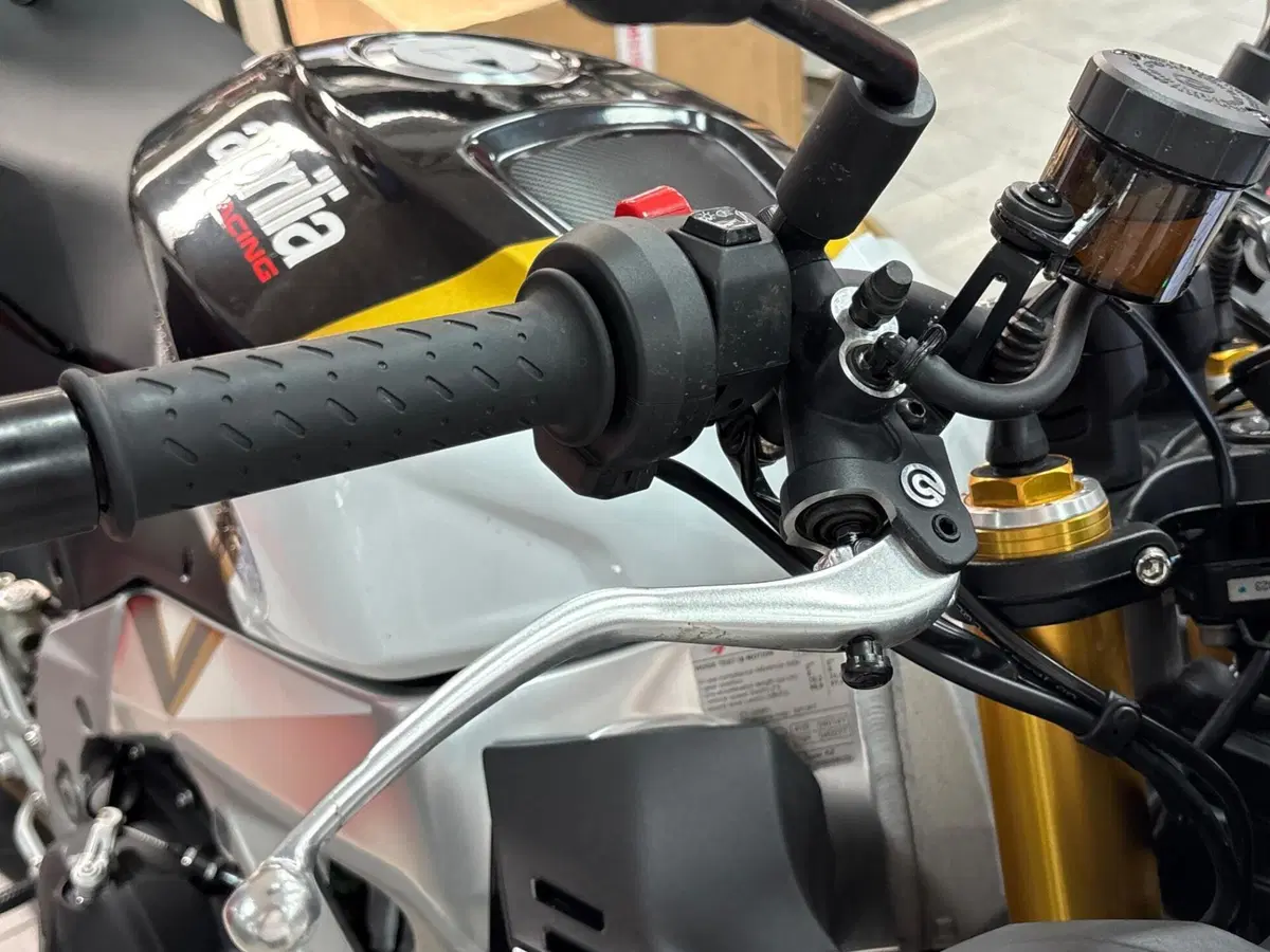 Aprilia Tuono V4 Factory (2025 - 26) (9)