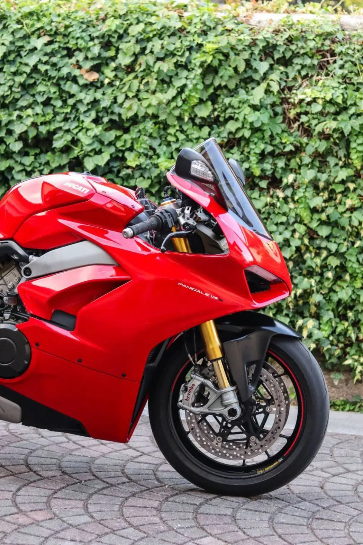 Ducati Panigale V4 S 1100 (2018 - 19) (2)