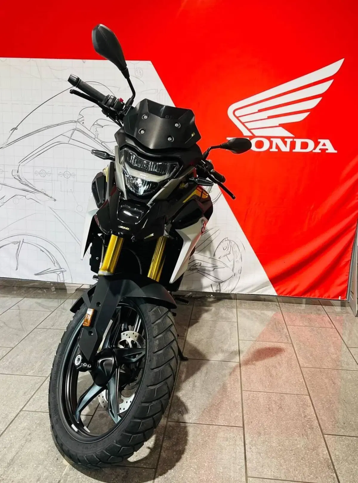 Bmw G 310 GS (2021 - 25) (2)