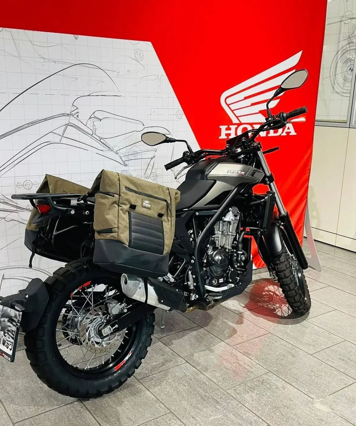 Betamotor Alp X (2024 - 26) (6)