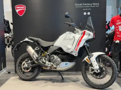 Ducati DesertX (2022 - 25) usata