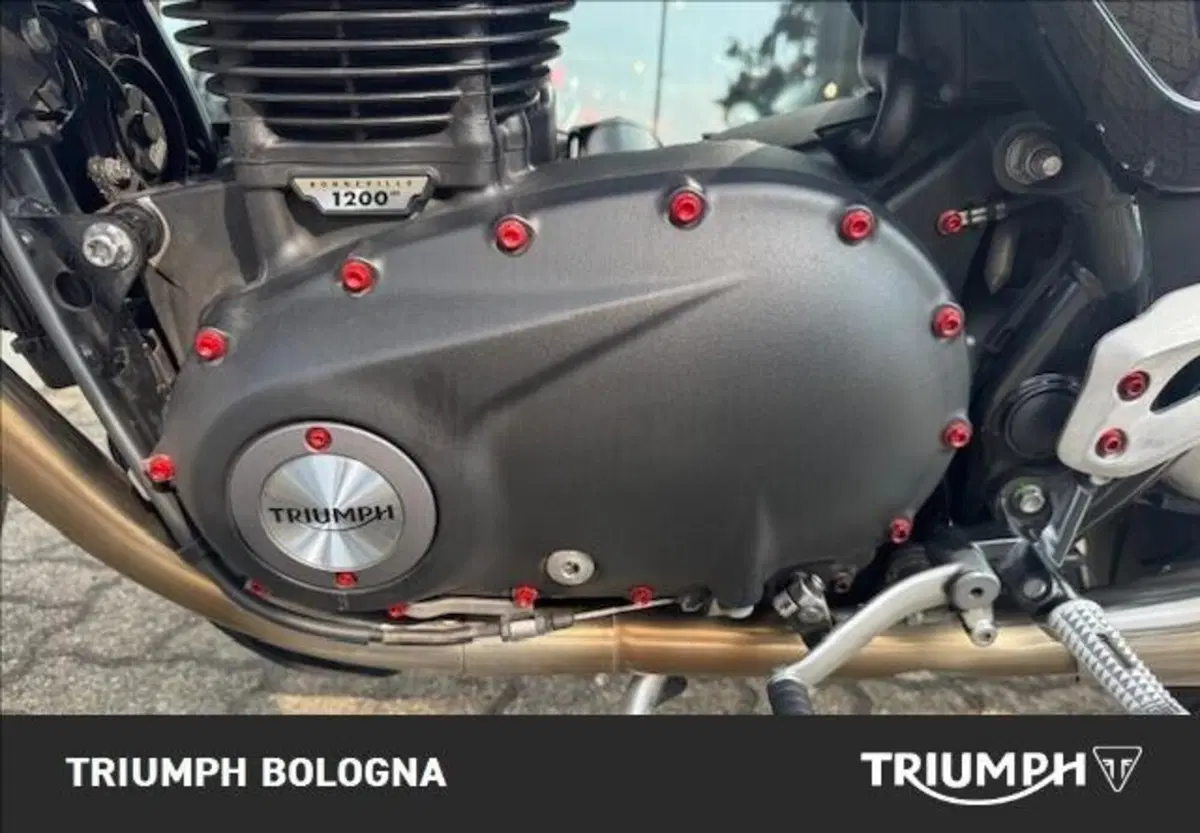 Triumph Speed Twin 1200 (2019 - 20) (10)
